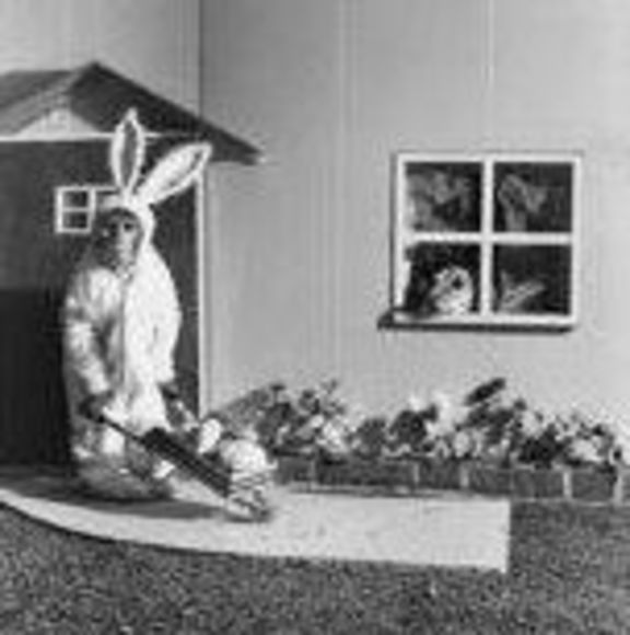 Meet your Posher, Jackie - Picture 1 of 1